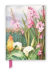 Kew Gardens: Marianne North: Beauties of the Swamps at Tulbagh (Foiled Journal) by Flame Tree Studio, 9781804176214