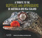 A Tribute to the Reptiles and Amphibians of Australia and New Zealand by The Australian Herpetological Society The Australian Herpetological Society, 9781925546590