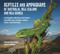 A Reptiles and Amphibians of Australia, New Zealand and New Guinea by The Australian Herpetological Society The Australian Herpetological Society, 9781925546736
