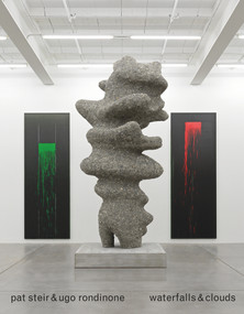 Pat Steir & Ugo Rondinone (Waterfalls & Clouds) by Barry Schwabsky, Ugo Rondinone, Pat Steir, Lévy Gorvy, Galerie Eva Presenhuber, 9783969120750