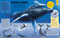 Animal Talk (All the Incredible Ways that Animals Communicate) by Dr Michael Leach, Meriel Lland, Asia Orlando, 9780744082746