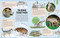 Animal Talk (All the Incredible Ways that Animals Communicate) by Dr Michael Leach, Meriel Lland, Asia Orlando, 9780744082746