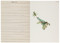 The Butterflies of Titian Ramsay Peale Journal by American Museum of Natural History, 9781419718052