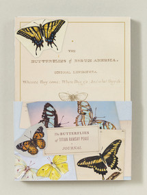 The Butterflies of Titian Ramsay Peale Journal by American Museum of Natural History, 9781419718052