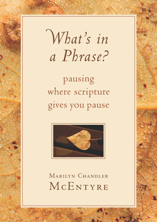 What's in a Phrase? (Pausing Where Scripture Gives You Pause) by Marilyn McEntyre, 9780802871145