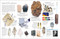Eyewitness Crystal and Gem by DK, 9780744081541