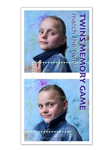 Twins Memory Game (Match the Twins) by Maaike Strengholt, 9789063696559