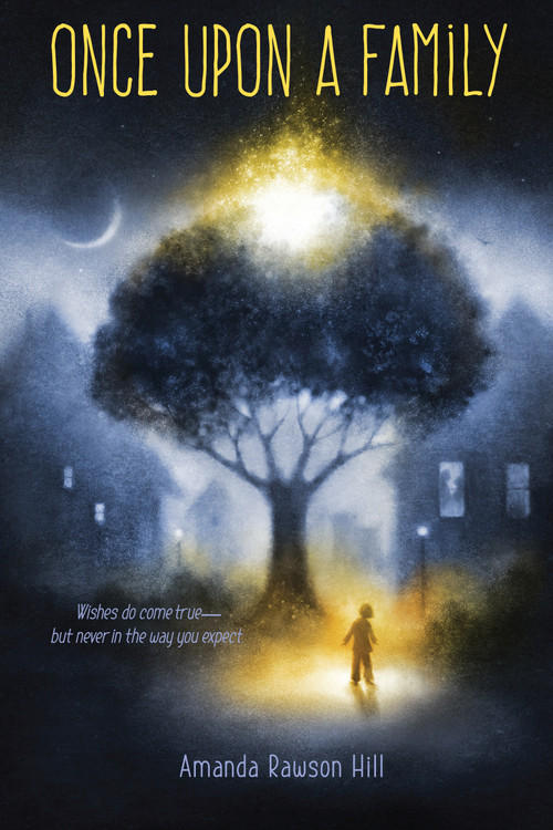 Once Upon a Family by Amanda Rawson Hill, 9781635923179