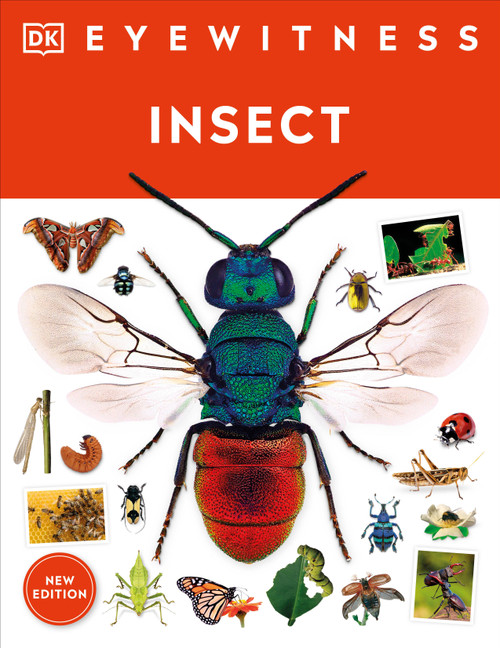 Eyewitness Insect - 9780744081565 by DK, 9780744081565