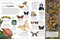Eyewitness Insect - 9780744081572 by DK