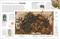Eyewitness Insect - 9780744081572 by DK