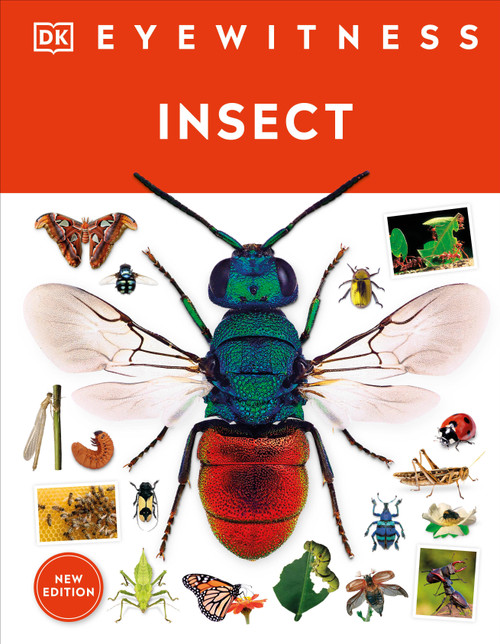 Eyewitness Insect - 9780744081572 by DK, 9780744081572