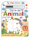 Wipe Clean Dot-to-dot Animals by Nat Lambert, Steph Hinton, 9781787000018