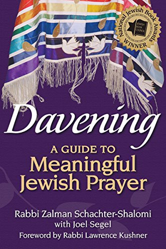 Davening (A Guide to Meaningful Jewish Prayer) - 9781580236270 by Rabbi Zalman Schachter-Shalomi, Joel Segel, Rabbi Lawrence Kushner, 9781580236270