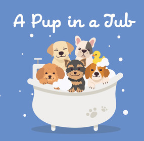 A Pup in a Tub by New Holland Publishers, 9781760795580