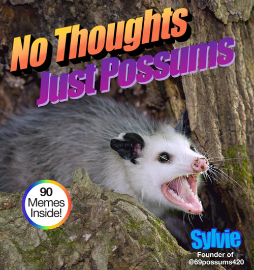 No Thoughts Just Possums (90 Hilarious Memes) by Sylvie, 9781454948490