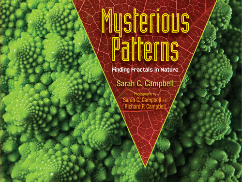 Mysterious Patterns (Finding Fractals in Nature) - 9781662620416 by Sarah C. Campbell, Richard P. Campbell, 9781662620416
