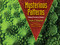 Mysterious Patterns (Finding Fractals in Nature) - 9781662620416 by Sarah C. Campbell, Richard P. Campbell, 9781662620416