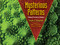 Mysterious Patterns (Finding Fractals in Nature) - 9781662620416 by Sarah C. Campbell, Richard P. Campbell, 9781662620416