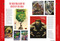 Marvel's Hulk: The First 60 Years by Titan, 9781787740785