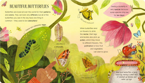 One Little Bug (Exploring Nature for Curious Kids) by Becky Davies, Jacob Souva, 9781664350847