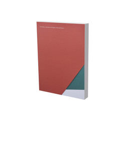 Flurin Bisig: Unformed Desire by Lynn Kost, Stephan Kunz, Flurin Bisig, 9783864423888