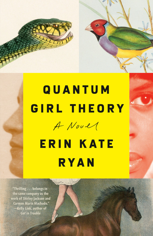 Quantum Girl Theory (A Novel) - 9780593133453 by Erin Kate Ryan, 9780593133453