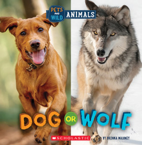 Dog or Wolf (Wild World: Pets and Wild Animals) by Brenna Maloney, 9781338899801