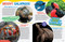 Weird But True! World 2024 by National Geographic Kids, 9781426374531
