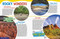 Weird But True! World 2024 by National Geographic Kids, 9781426374531
