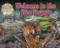 Welcome to the Tree Stump by Ruth Owen, 9781788562959