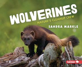Wolverines (Nature's Cleanup Crew) by Sandra Markle, 9781728476711