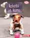 Robots at Home by Liz Sonneborn, 9781728476797