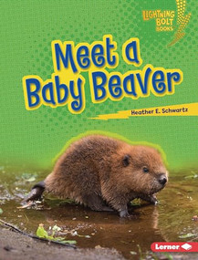 Meet a Baby Beaver by Heather E. Schwartz, 9781728491066