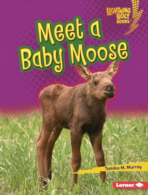 Meet a Baby Moose by Tamika M. Murray, 9781728491134