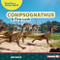 Compsognathus (A First Look) by Jeri Ranch, 9781728491363