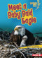 Meet a Baby Bald Eagle - 9798765603208 by Heather E. Schwartz, 9798765603208