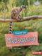 Travel to Madagascar - 9798765603833 by Matt Doeden, 9798765603833