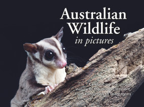 Australian Wildlife in Picture (Celebrating the unique nature of the island continent, from kangaroos to sea dragons) by New Holland Publishers, 9781925546620