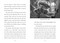 Save the... Koalas - 9780593622643 by Anita Sanchez, Chelsea Clinton
