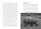 Save the... Rhinoceroses - 9780593622674 by Sarah L. Thomson, Chelsea Clinton