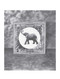 Daydreams for Night by John Southworth, David Ouimet, 9781927018170