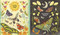 What's Inside a Caterpillar Cocoon? (And Other Questions About Moths & Butterflies) by Rachel Ignotofsky, 9780593176573