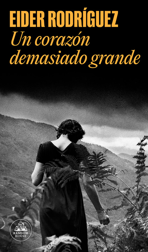 Un corazón demasiado grande / Too Big a Heart (Spanish Edition) by Eider Rodríguez, 9788439735731