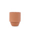 PARKS 11 OZ  GRAND CANYON NATIONAL PARK CERAMIC - CACTUS FLOWER + FERN, PK1104