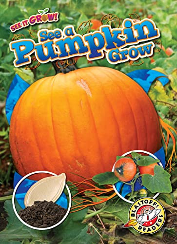 See a Pumpkin Grow by Kirsten Chang, Dana Fleming, 9798886872033