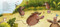 Wild Symphony - 9780593704233 by Dan Brown, Susan Batori