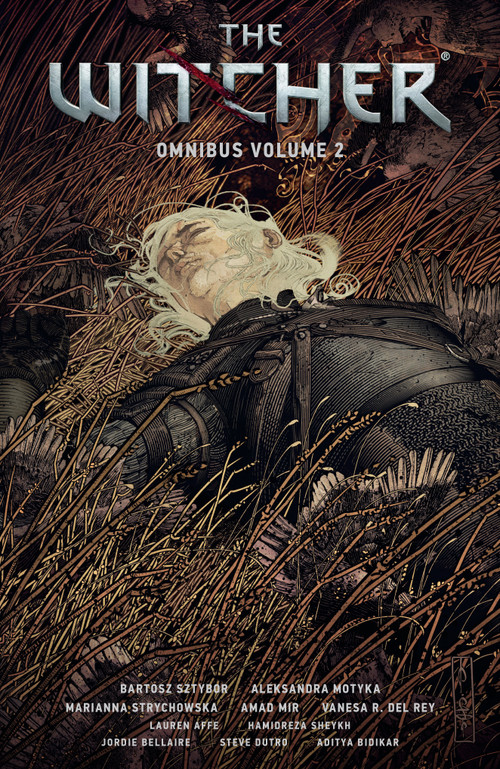 The Witcher Omnibus Volume 2 by Bartosz Sztybor, Aleksandra Motyka, Marianna Strychowska, Amad Mir, Vanesa R. Del Rey, 9781506726922
