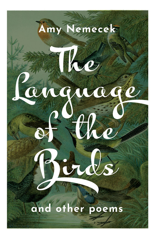 The Language of the Birds (Poems) by Amy Nemecek, 9781640607873