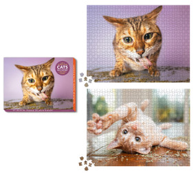 Cats on Catnip 2-in-1 Double-Sided 1,000-Piece Puzzle by Andrew Marttila, 9780762483907